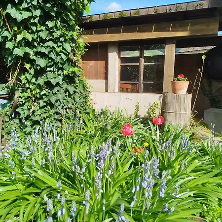 Schwarzwald-lodge Ferienunterkunft *
