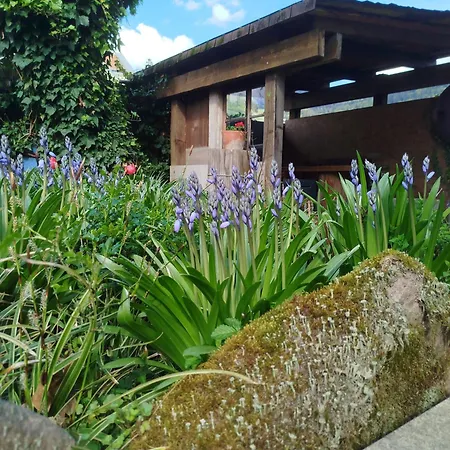 Schwarzwald-lodge Ferienunterkunft Apartmán